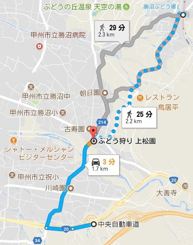 google_map